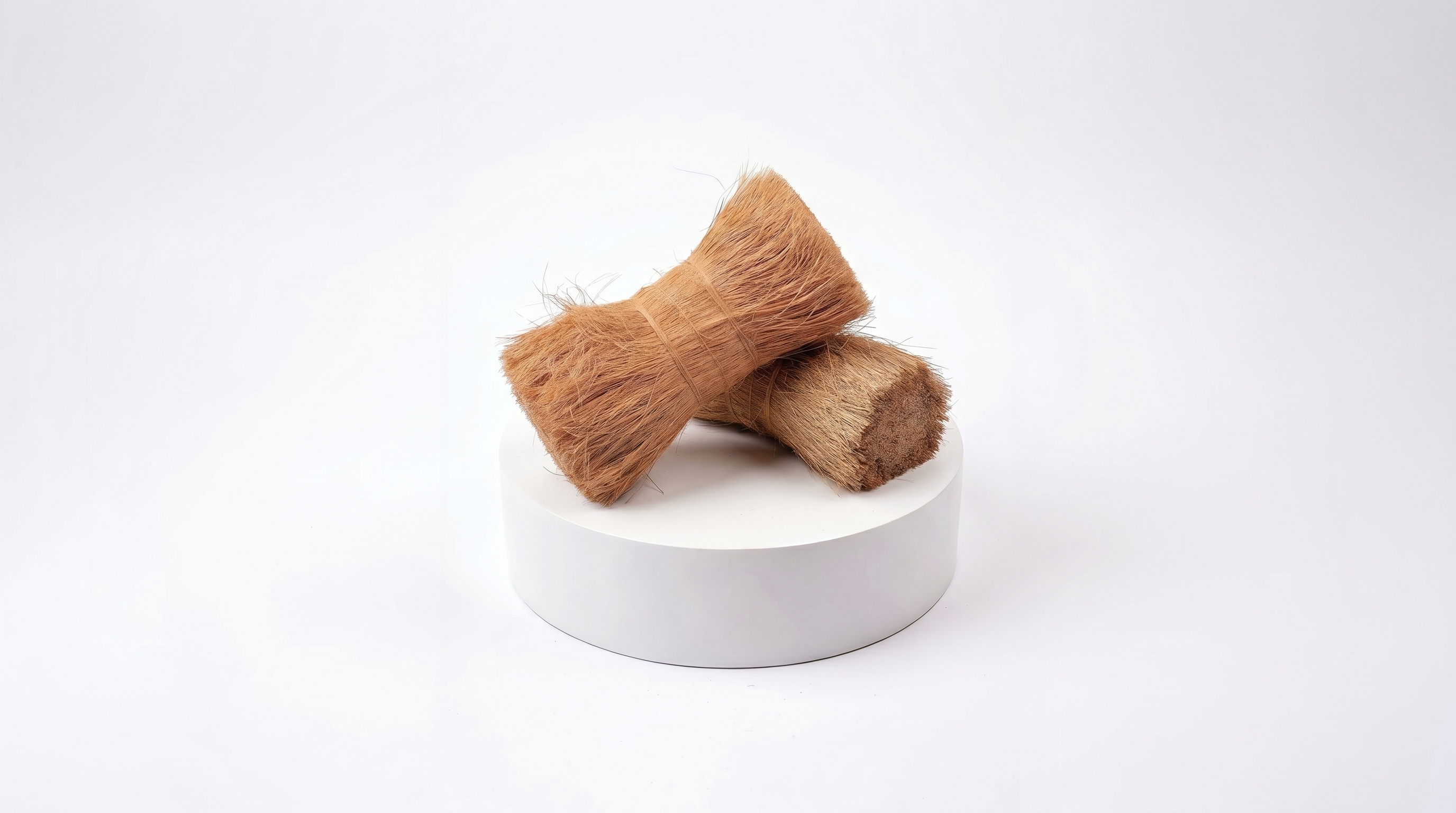 Fibra de coco bristle para geotêxteis e indústria