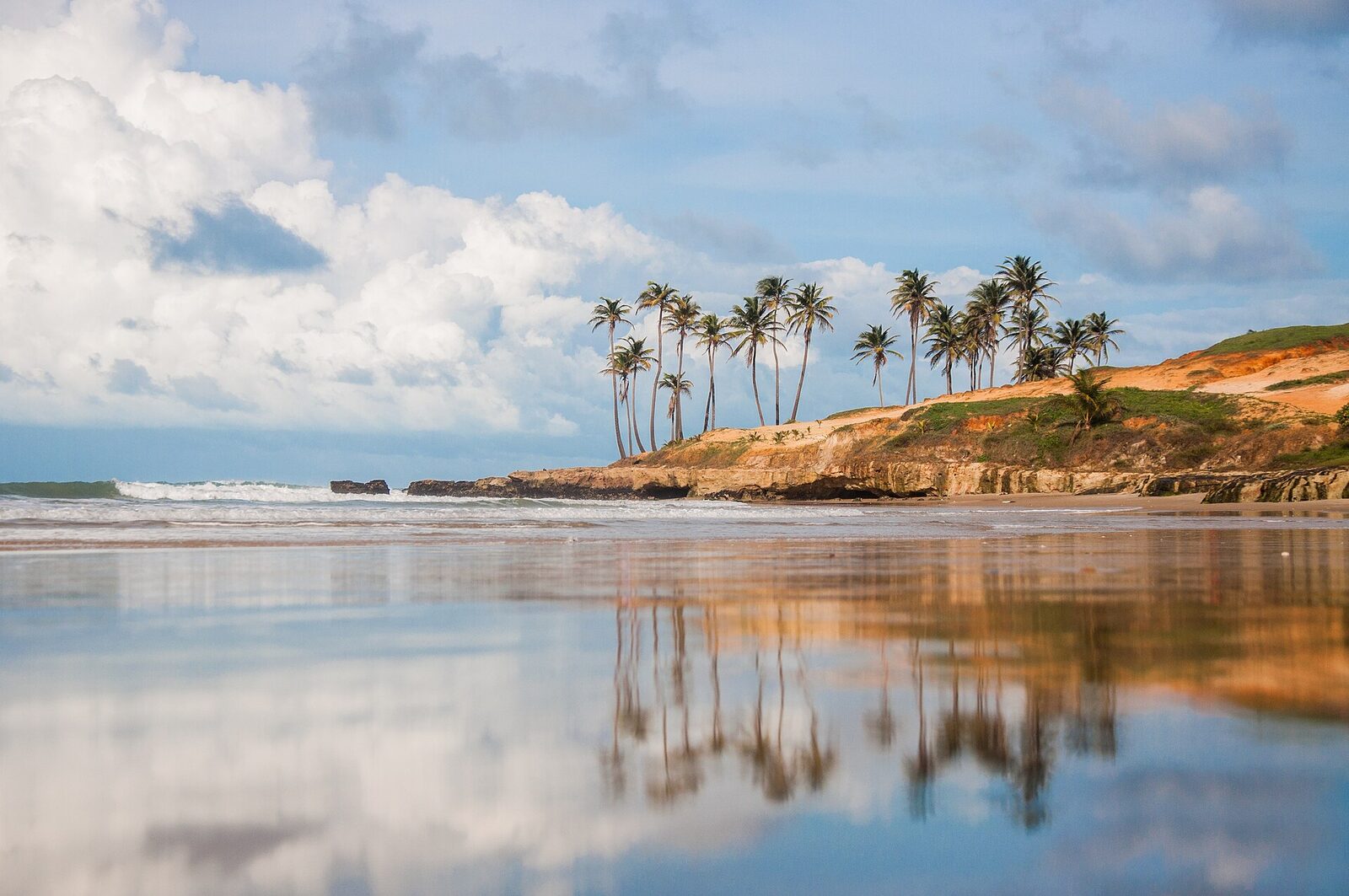 Coqueiros na Praia da Lagoinha, Paraipaba, Ceará