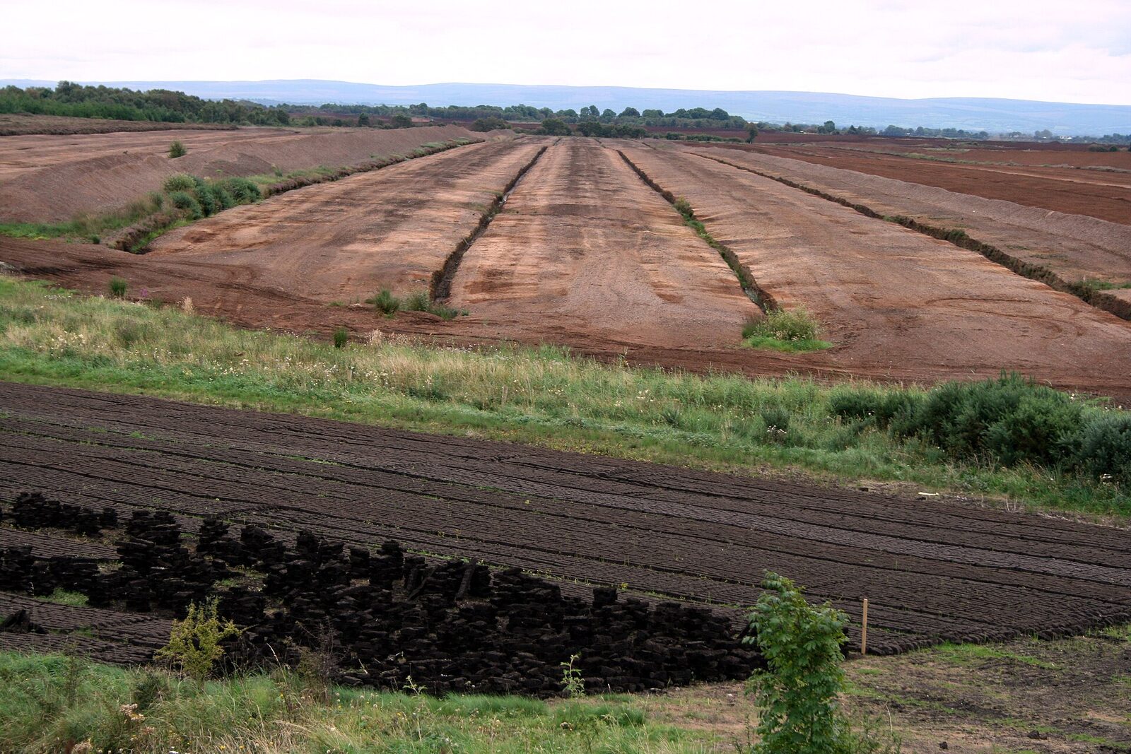 Extração de turfa em turfeira, Bog of Allen, Irlanda