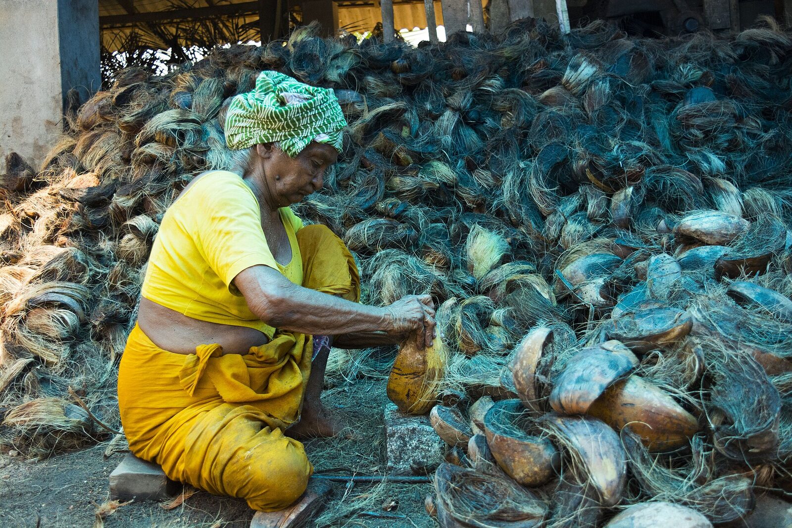 Woman removing the outer skin of retted coconut husks before defibering, Kerala, India