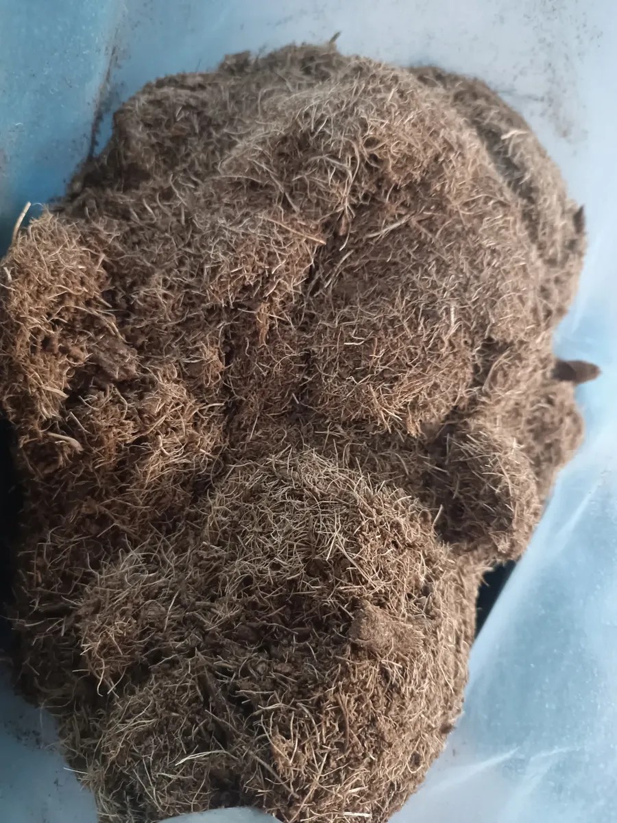 Misto de coco, mistura de pó e fibra
